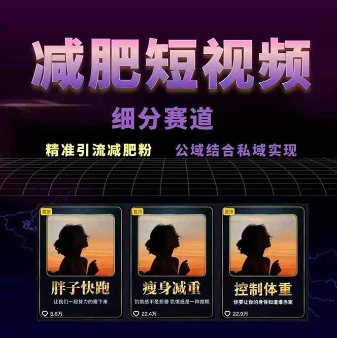 图片[2]-减肥短视频运营实战课：含素材制作、剪映教学，讲精准引流、变现设计与内容模板技巧 - 搞薯条网-搞薯条网